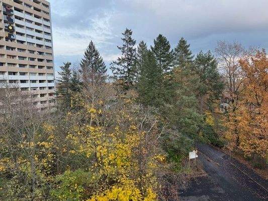 Blick vom Balkon Ostseite