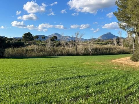 Calvià Grundstücke, Calvià Grundstück kaufen