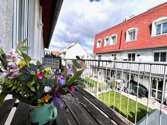 Blick von der Terrasse