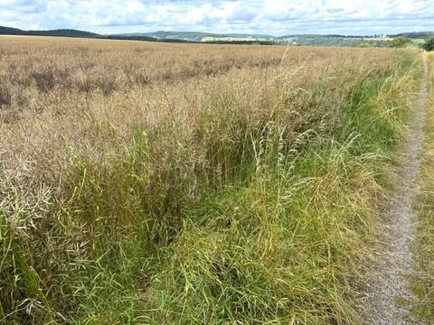 Kreuzau Bauernhöfe, Landwirtschaft, Kreuzau Forstwirtschaft