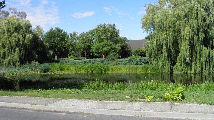 Gegenüberliegender idyllischer Dorfteich