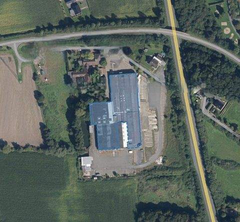 Steinfurt / Borghorst Halle, Steinfurt / Borghorst Hallenfläche