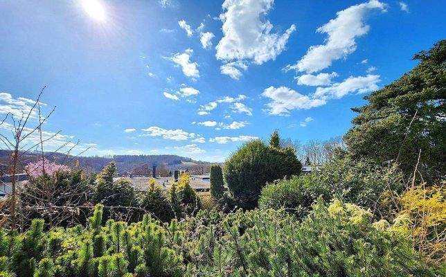 AUSBLICK VON DER TERRASSE