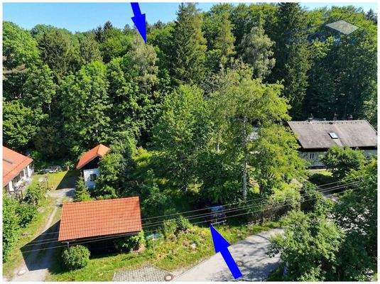 Baugrund für Tinyhaus mit Wald