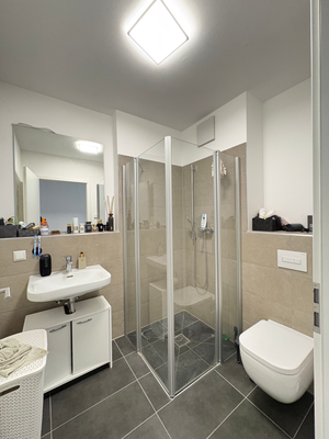 Badezimmer mit bodentiefer Dusche und Waschbecken, WC