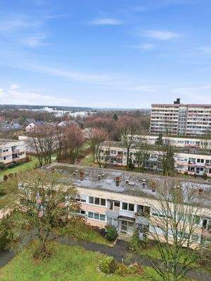 Alexander Immobilien (3).jpg