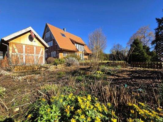 Blühender Gartenbereich