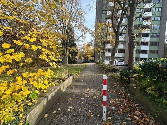 Zugang zum Mehrfamilienhaus.jpg