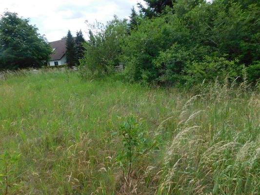 Blick ins Grundstück