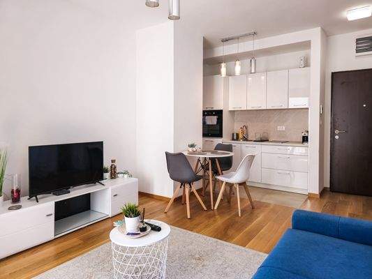 Living room + kitchen