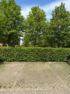 IMG_0195.JPG