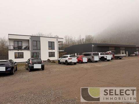 Schiffweiler Halle, Schiffweiler Hallenfläche