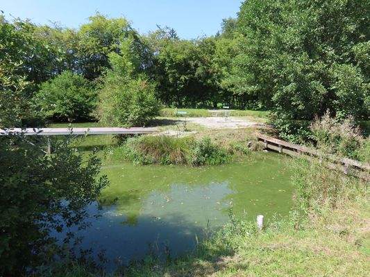 großer Weiher mit Insel-Terrasse