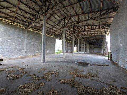 Klossa Bauernhöfe, Landwirtschaft, Klossa Forstwirtschaft