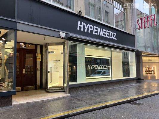 20250129_1010, Rauhensteingasse 10_NI (2)