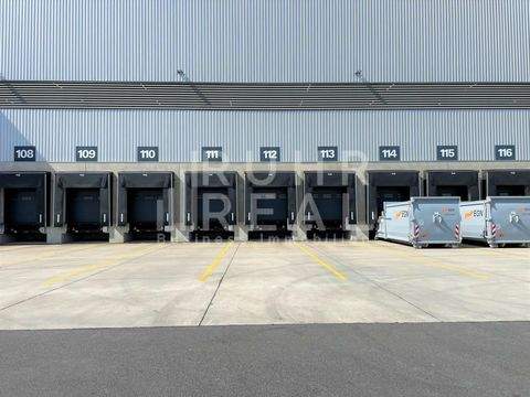 Mönchengladbach Halle, Mönchengladbach Hallenfläche