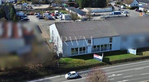 Rottenburg Halle, Rottenburg Hallenfläche