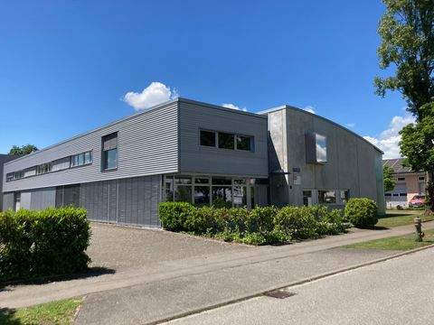 Radolfzell am Bodensee Büros, Büroräume, Büroflächen 