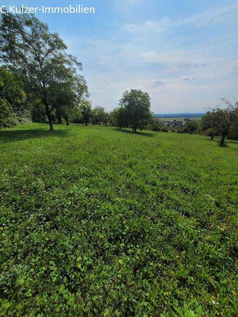 Fischingen Bauernhöfe, Landwirtschaft, Fischingen Forstwirtschaft