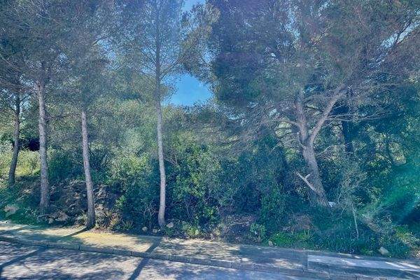 Ansicht des Baugrundstücks