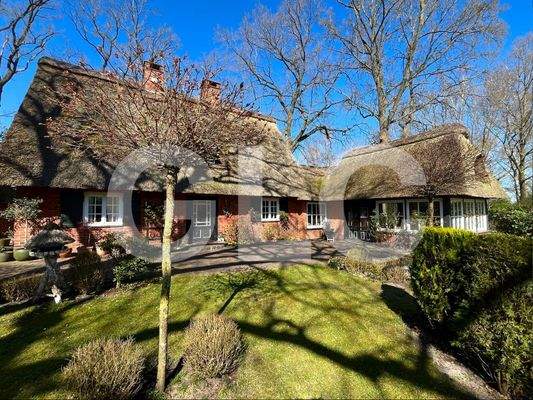 Ansicht auf das Haus vom Garten