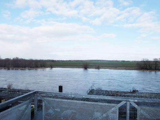 Blick über die Elbe