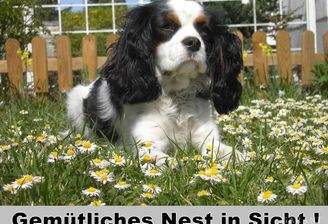 Gemütliches Nest in Sicht !