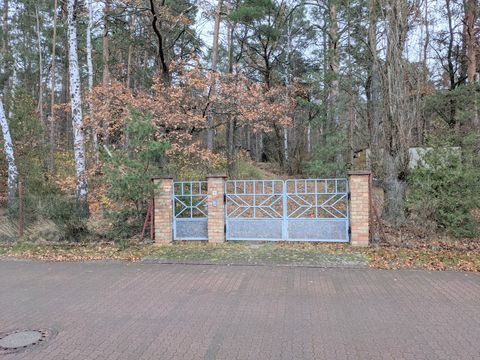 Muldestausee Grundstücke, Muldestausee Grundstück kaufen