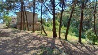 Grundstück mit Wohnhaus 