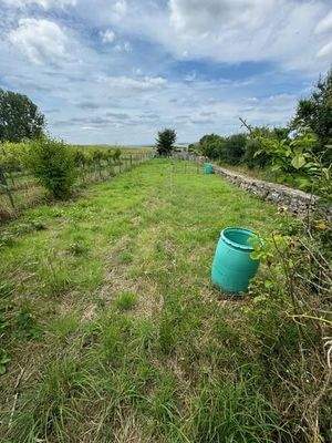 9 separater Garten (2)