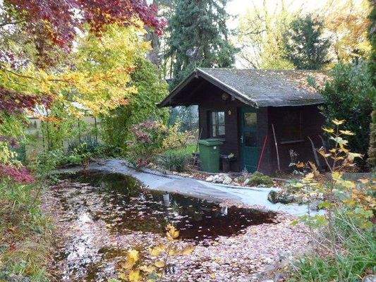Teich mit Gartenhaus