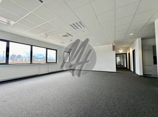 INFOS UNTER: 06171-586000