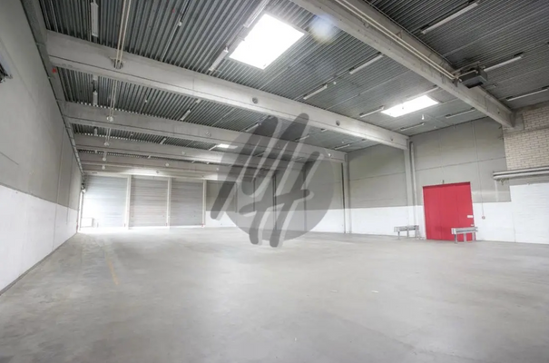 INFOS UNTER: 06171-586000