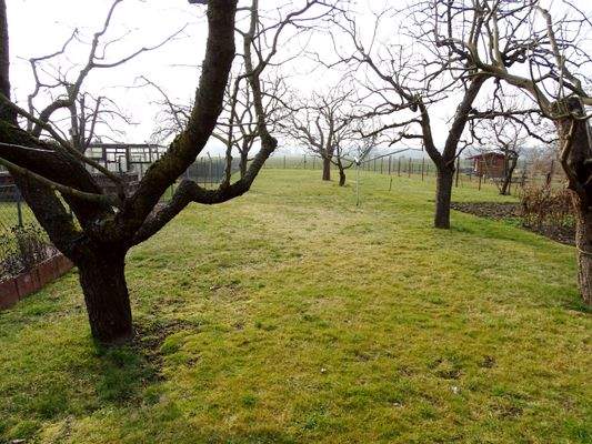 Gartenansichten.jpg