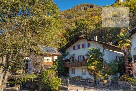 Gargazon Häuser, Gargazon Haus kaufen