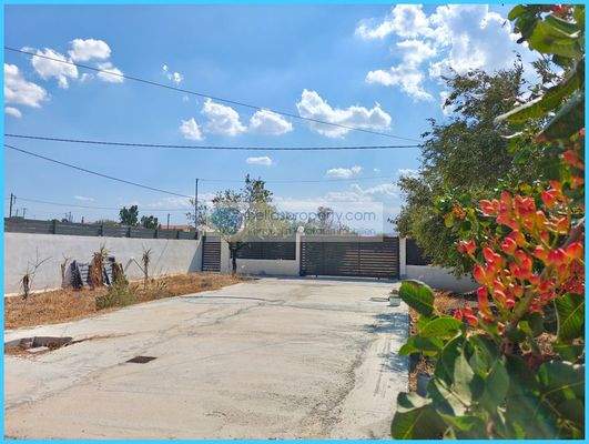 233073686025410d99b045dfef4367d1-original