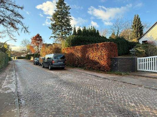 Ruhige Straße "Heublink"