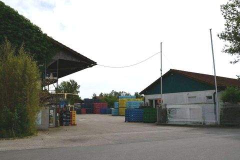 Kirchham Halle, Kirchham Hallenfläche