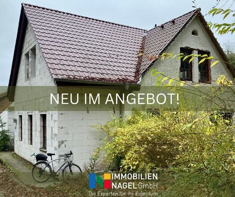 NEU IM ANGEBOT!