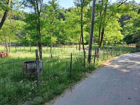 Rab Bauernhöfe, Landwirtschaft, Rab Forstwirtschaft
