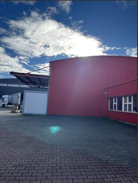 Klingenberg Halle, Klingenberg Hallenfläche