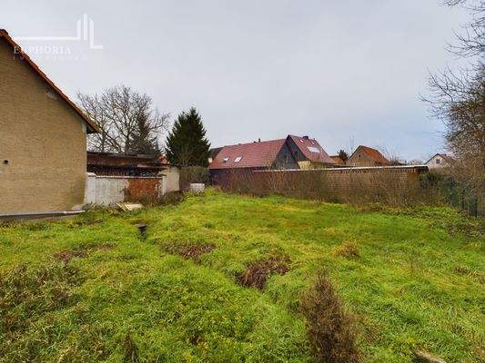 CAM03352G0-PR0039-STILL043