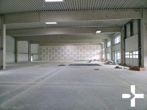 Mönchengladbach Halle, Mönchengladbach Hallenfläche