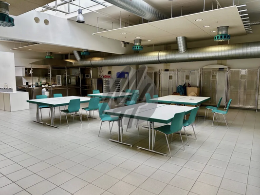 INFOS UNTER: 06171-586000