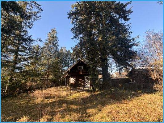 Blick zum Gartenhaus