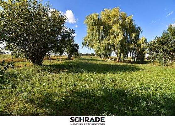 ...auslaufend als Grünfläche mit Weitsicht