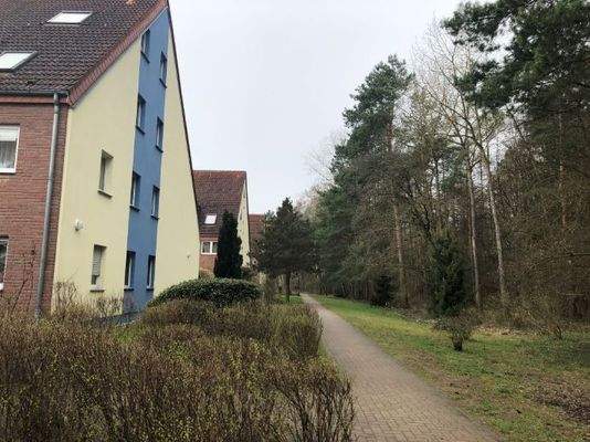 Schöne Lage am Waldrand