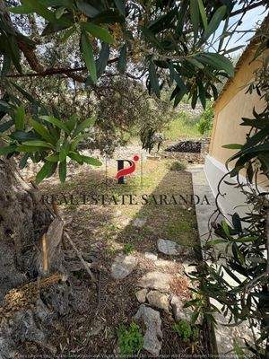 WhatsApp Image 2025-05-11 at 11.23.45-12.jpeg