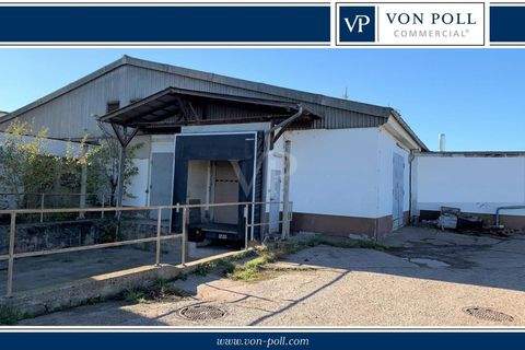 Wandersleben / Drei Gleichen Halle, Wandersleben / Drei Gleichen Hallenfläche