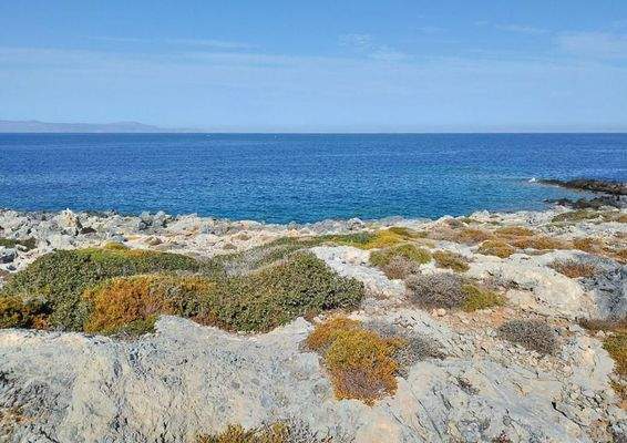 Kreta, Stavros: Grundstücke direkt am Meer mit Blick auf den Sonnenuntergang zu verkaufen